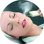 Eucalyptus Papaya Detox Wrap